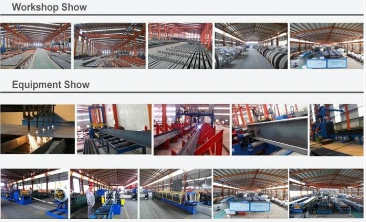 Qingdao Xinguangzheng Husbandry Co.,  Ltd производственная линия завода