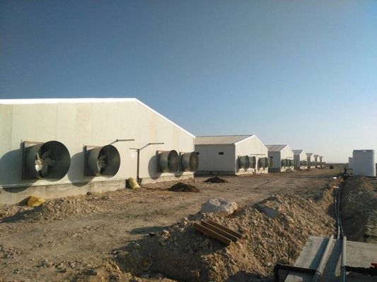 Сталевая ферма Животноводный дом с одним уклоном Животноводство на заказ