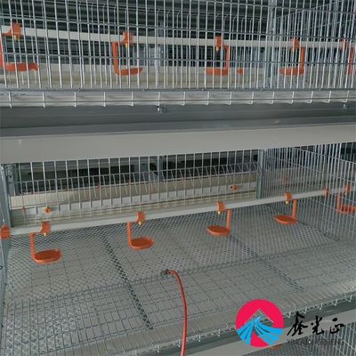 Изоляция от EPS Животноводческий дом современный с окном из алюминиевого сплава