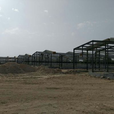 ODM Prefab Металлический склад Интеллектуальная стальная рама Куриный дом