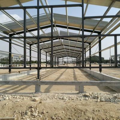ODM Prefab Металлический склад Интеллектуальная стальная рама Куриный дом