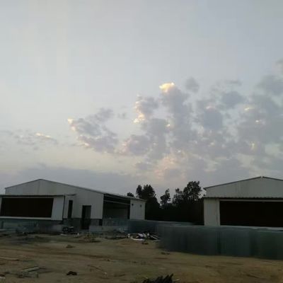 ODM Prefab Металлический склад Интеллектуальная стальная рама Куриный дом