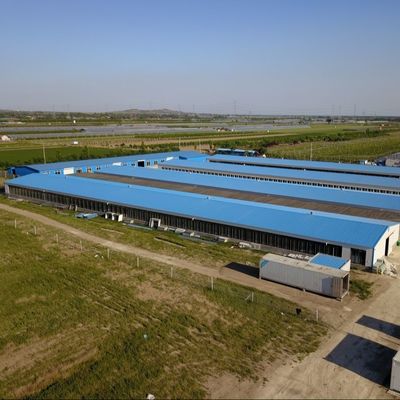 Оцинкованный лист Животноводство Ферма Дом Стальная конструкция Уборщик Куриные дома