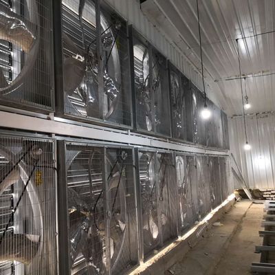 Система клеток для куриных цыплят 230M*56M для страны происхождения