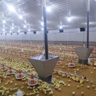 Долговечная система пола для мяса и курицы с коррозионной стойкостью / пластиковой материей