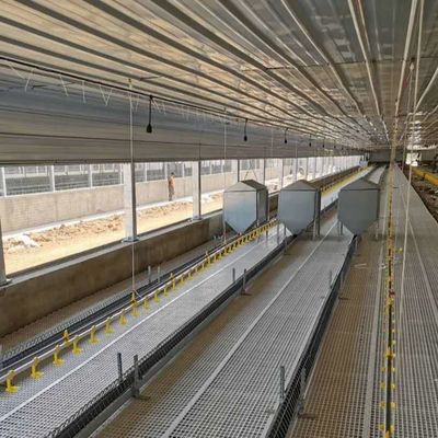 Устойчивое Устойчивое к погодным условиям Стальное здание из птицы Устойчивое к погодным условиям